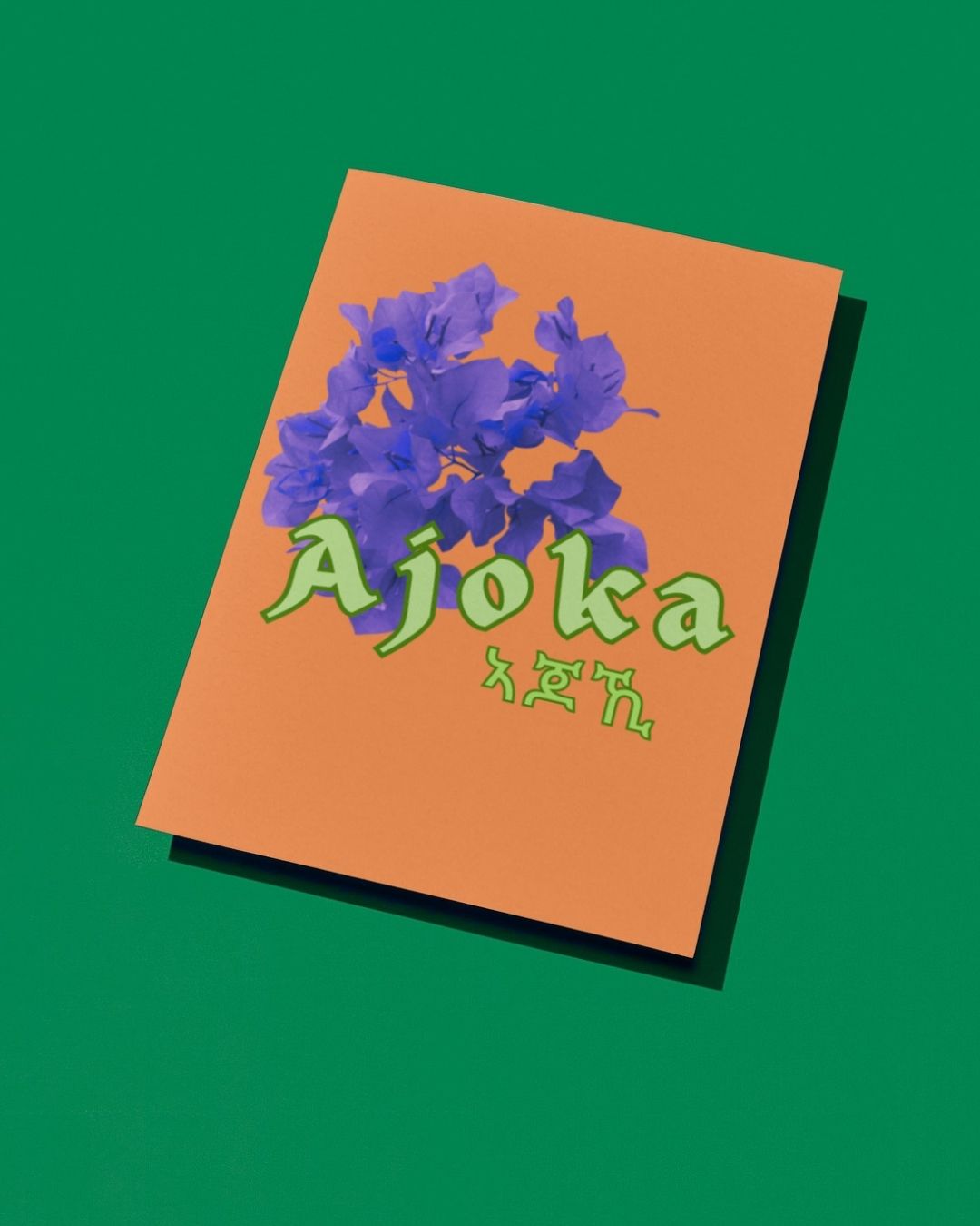 Ajoka (don't worry guy)